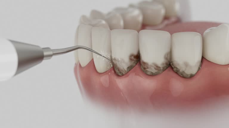 Reliable Dental contractor in Smyrna, TN by Dentist Open Now